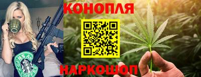 сатива Чебаркуль