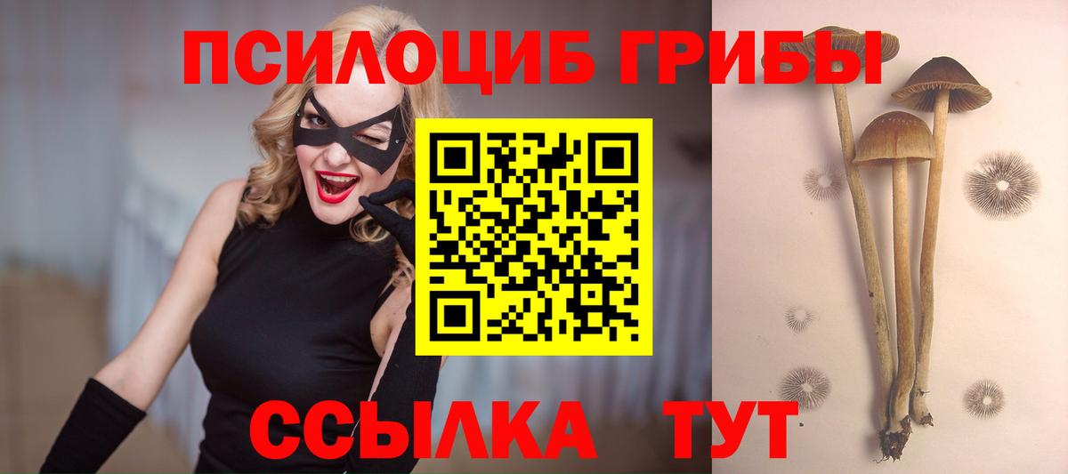 Бахчисарай  где продают   Вход с VPN  Галлюциногенные грибы мухоморы 